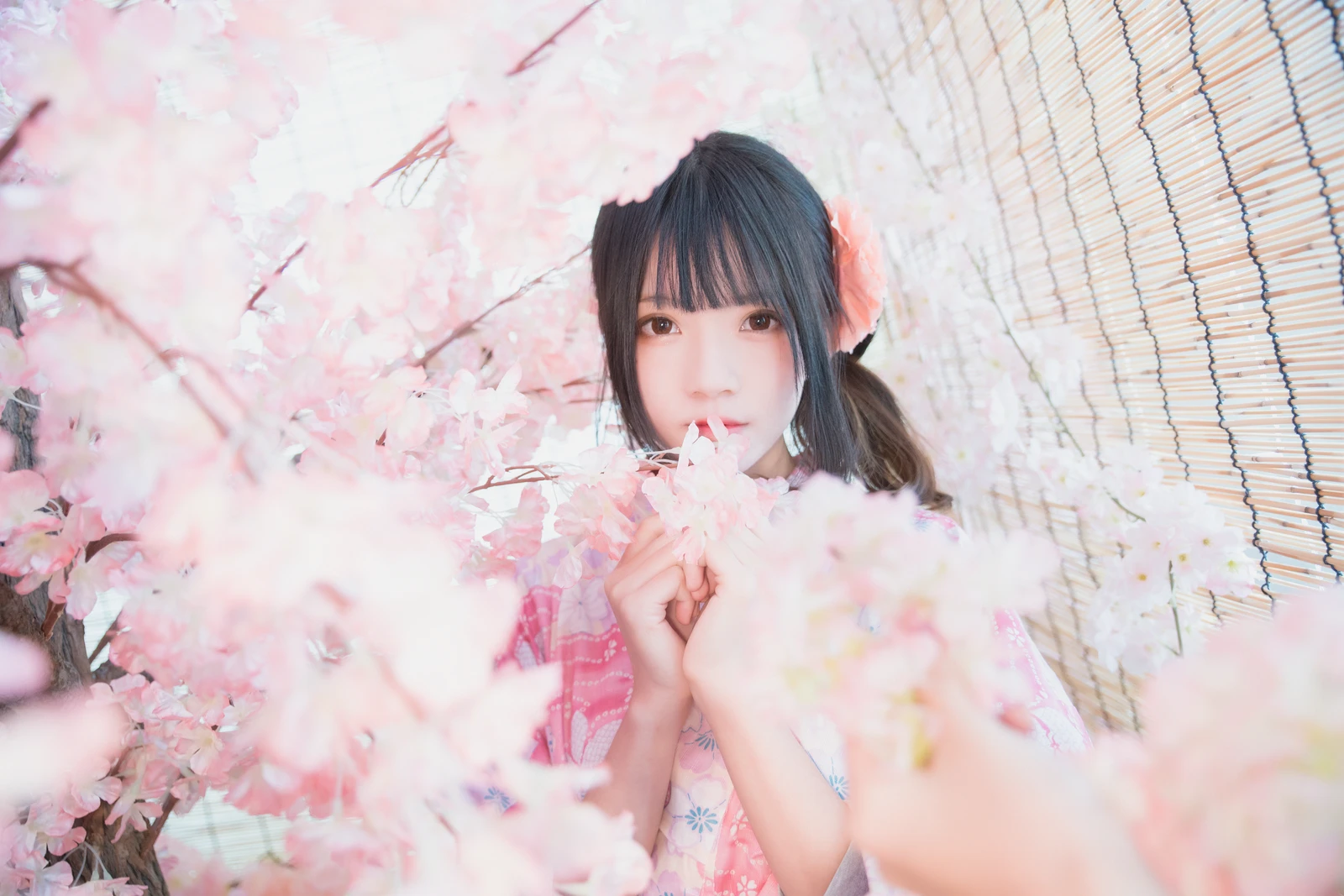 图片[5]-桜桃喵 双人本-COS世界